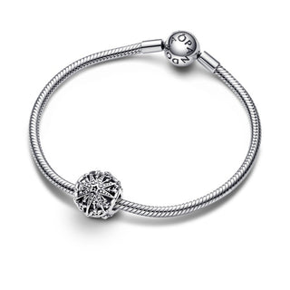 Charm Stella Invernale