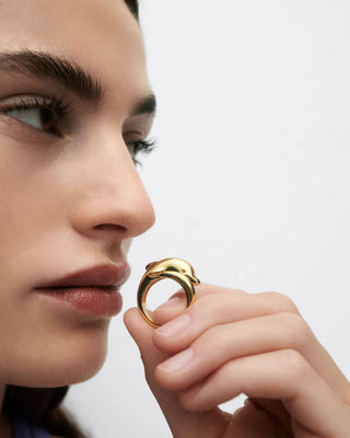 Anello Pdp Dolphin