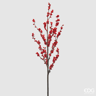 Ilex Branch L.100 C4