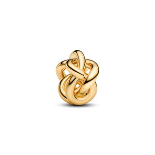 Charm Pendente Nodo d'Amore Eterno
