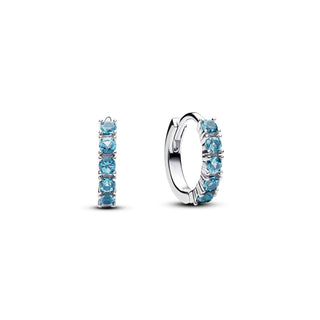 Small Blue Crystal Hoop Earrings
