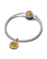 Pandora Project House spinning Astrolabe 14k gold-plated