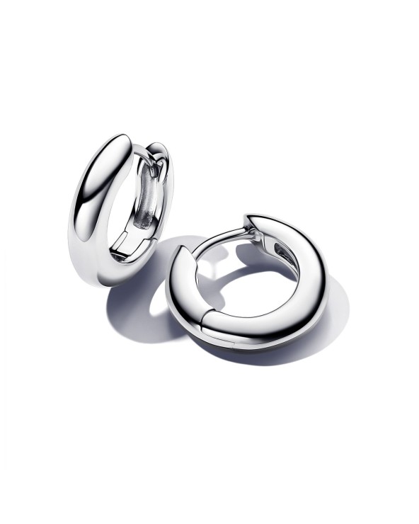 Pandora Small Silver Earrings- 293320C00