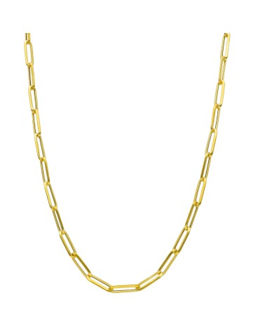 Armando Poggi Gold Small Paperclip Necklace- APS237870