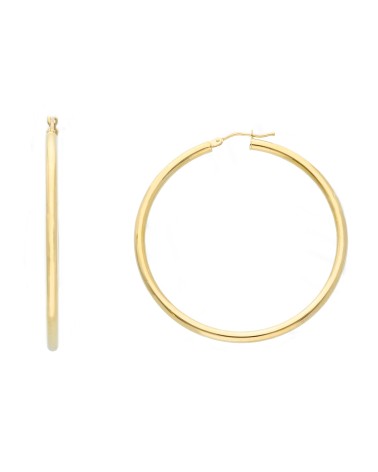 Armando Poggi Gold Simple Earrings- APS269087