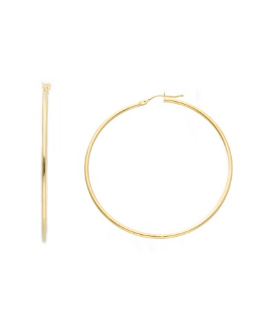 Armando Poggi Gold Hoop Earrings- APS269470