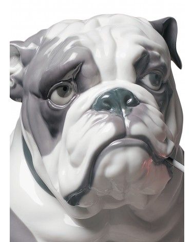 Lladrò Figurina cane bulldog con leccalecca