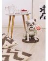 Bulldog with Lollipop Dog Figurine