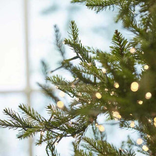 EDG Albero di Natale - PINO LUXURY H270 C/6000 LED-Casa e Design-Enzo de Gasperi-Armando Poggi