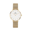 Evergold daniel wellington watch