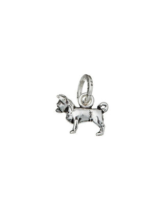 Chihuahua charm