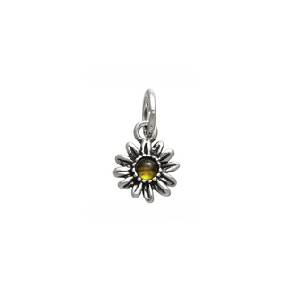 Charm Margherita Color