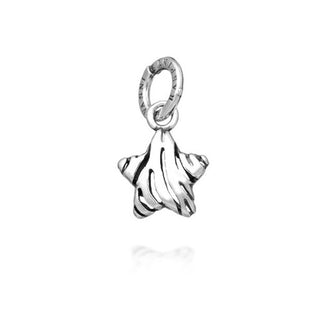 Charm Stella Zebra