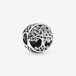 Pandora Charm Famiglia openwork