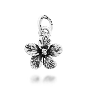 Hibiscus charm