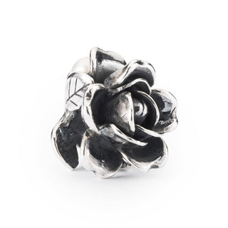 Trollbeads Rosa di Giugno