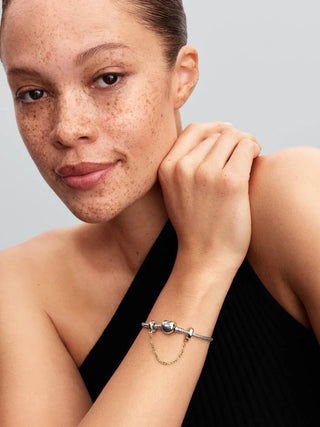 Anchor Link Safety Chain