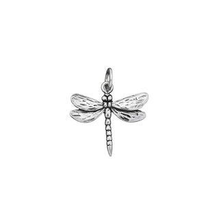 Charms libellula grande