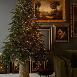 EDG Albero di Natale - PINO LUXURY H270 C/6000 LED