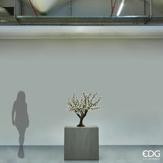 Melo Fiorito C/360 Led