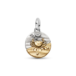 Charm Medallion Toro