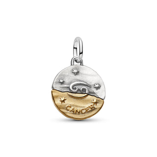 Charm Medallion Toro
