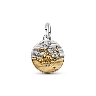 Charm Medallion Scorpione