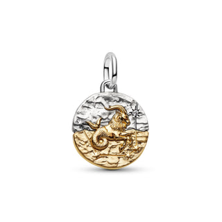 Charm Medallion Capricorno