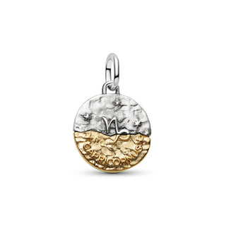 Charm Medallion Capricorno