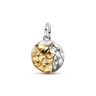 Charm Medallion Acquario