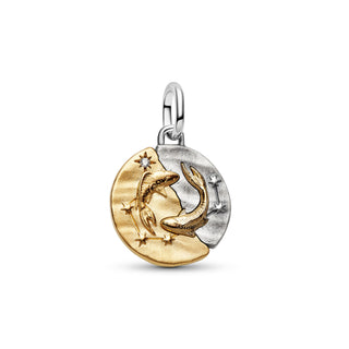Charm Medallion Pesci