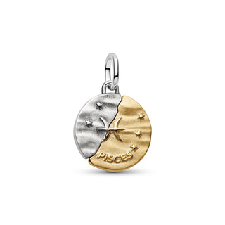 Charm Medallion Pesci