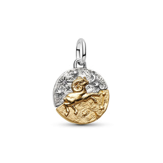Charm Medallion Ariete