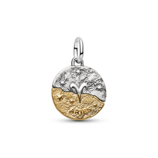 Charm Medallion Ariete