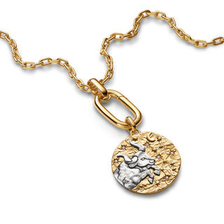 Charm Medallion XL Toro "Fortitudo Animi"