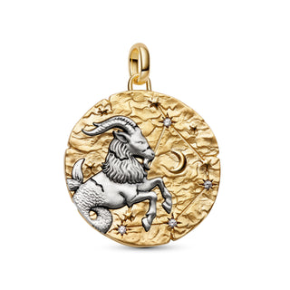 Charm Medallion XL Capricorno "Nihil Difficile Volenti"