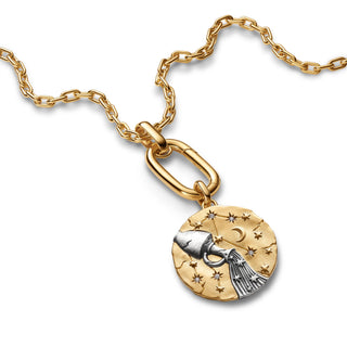 Charm Medallion XL Acquario "Omnia Mutantur"