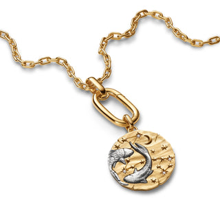 Charm Medallion XL Pesci "Memento Somniare"