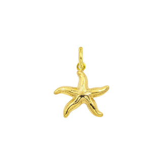 Charm Stella Marina in Oro 9 Kt