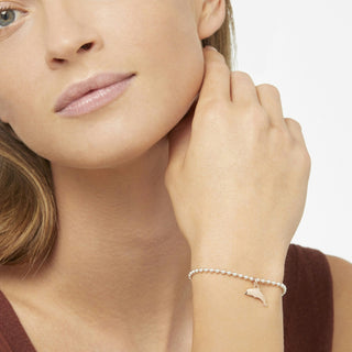 Charm Delfino Oro Rosa 9K