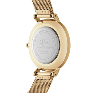 Evergold daniel wellington watch
