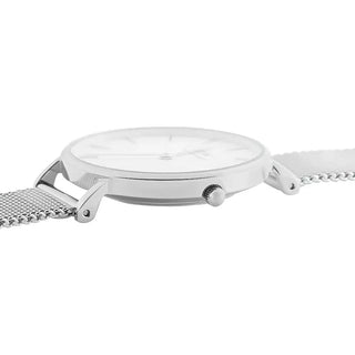 Daniel Wellington Sterling Watch