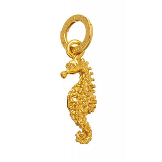 Charm Cavalluccio Marino dorato piccolo