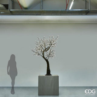 Melo Fiorito C/880 Led