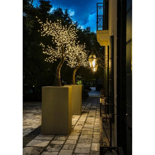 Melo Fiorito C/880 Led