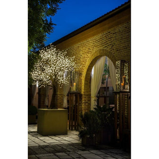 Melo Fiorito C/880 Led